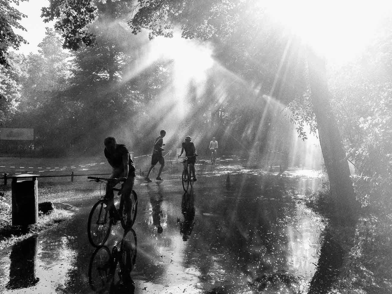 Berlin Photography Tiergarten Park Martin U Waltz