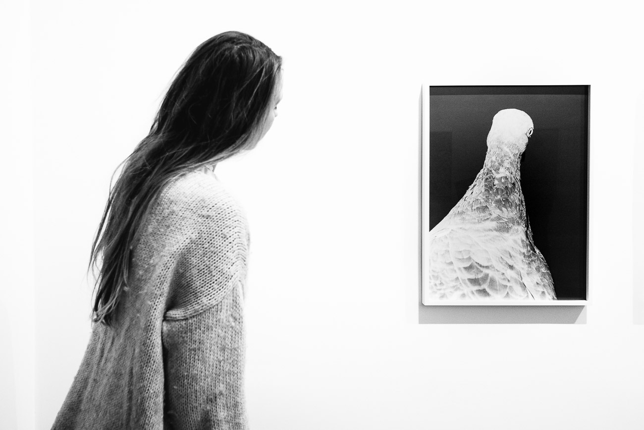 Photography gallery berlin robert morat Martin U Waltz